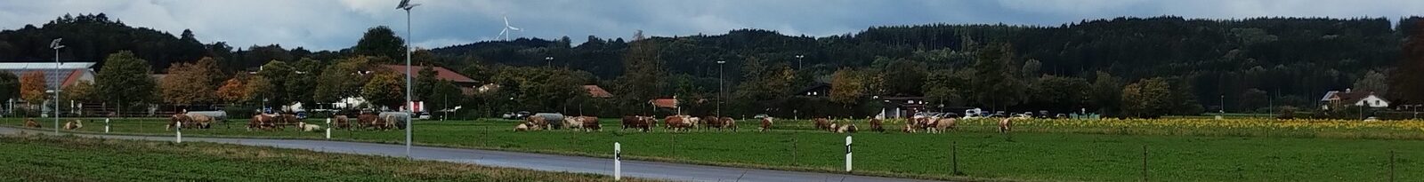 Blick über Wiesen auf Fuchstal mit Windenergieanlage im Hintergrund